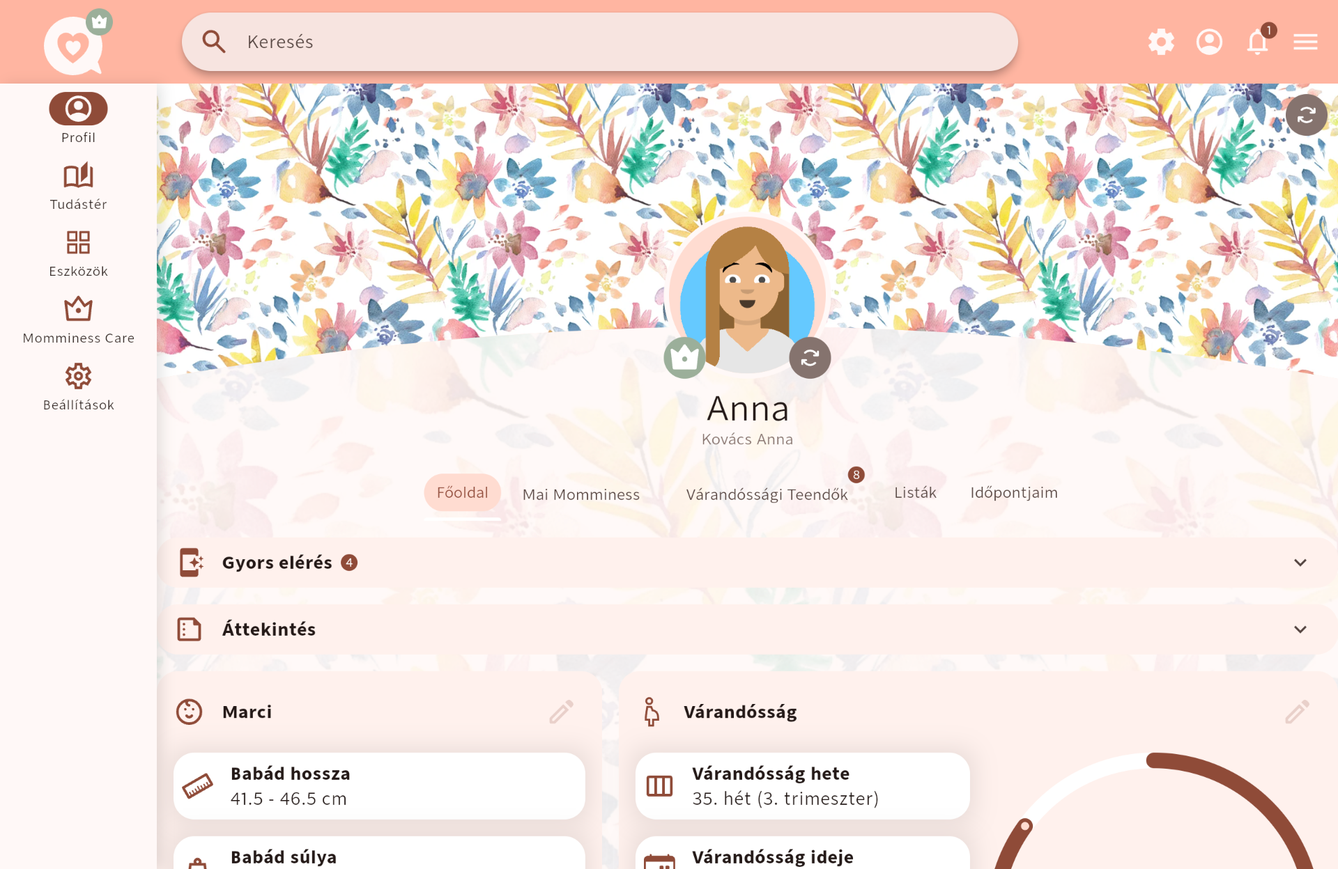 A Momminess asztali nézete gyors eléréssel, valamint Anna családjának várandóssági és gyermekadataival⁠.
