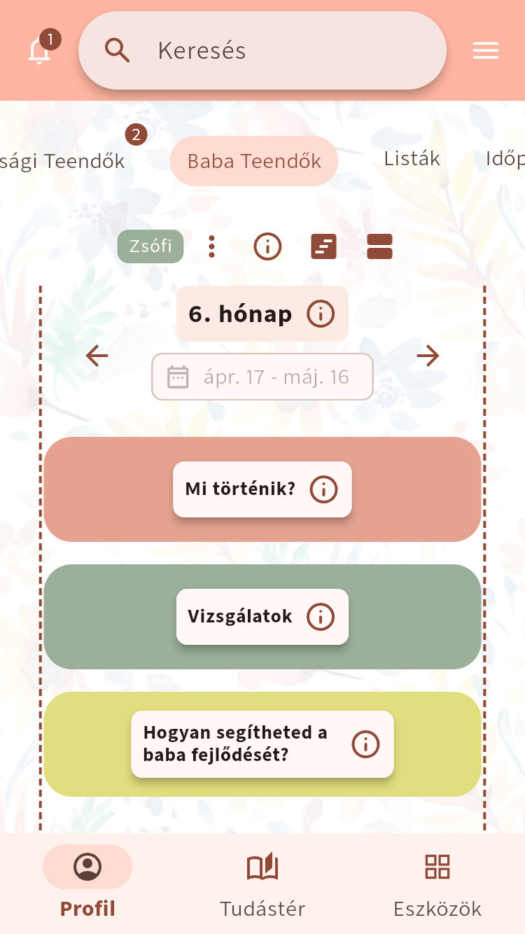 A Baba Teendők idővonala Zsófi 6⁠. hónapjában, a történésekhez, vizsgálatokhoz és a fejlődés támogatásához vezető kártyákkal⁠.