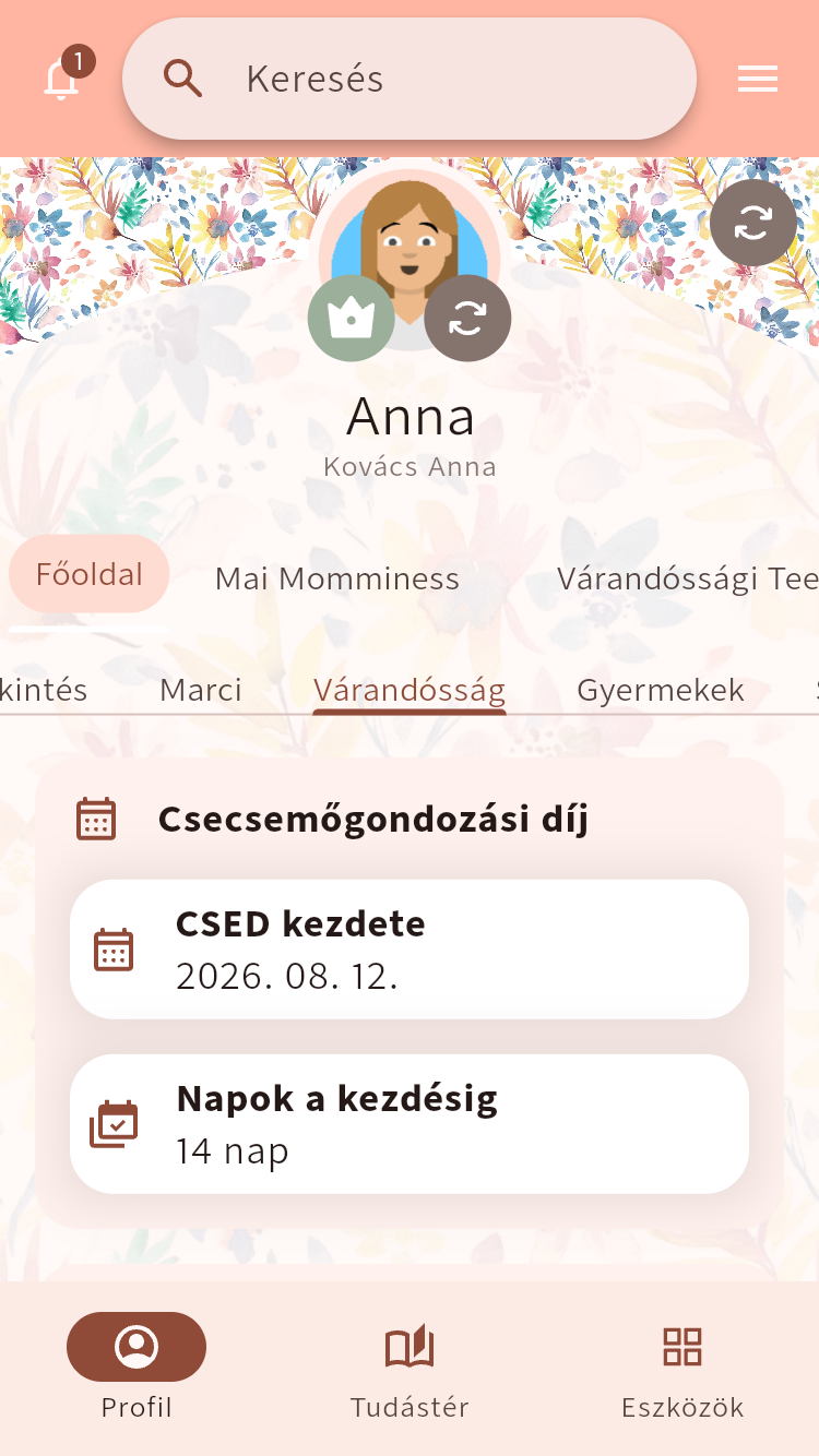 A CSED nézete a legkorábbi kezdőnappal és a hátralévő napokkal⁠.