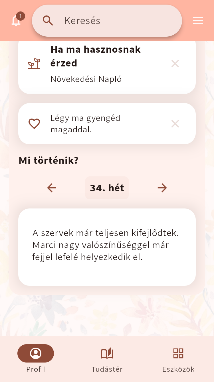 A Mai Momminess képernyője ajánlott eszközzel, támogató üzenettel és heti várandóssági tudnivalóval⁠.