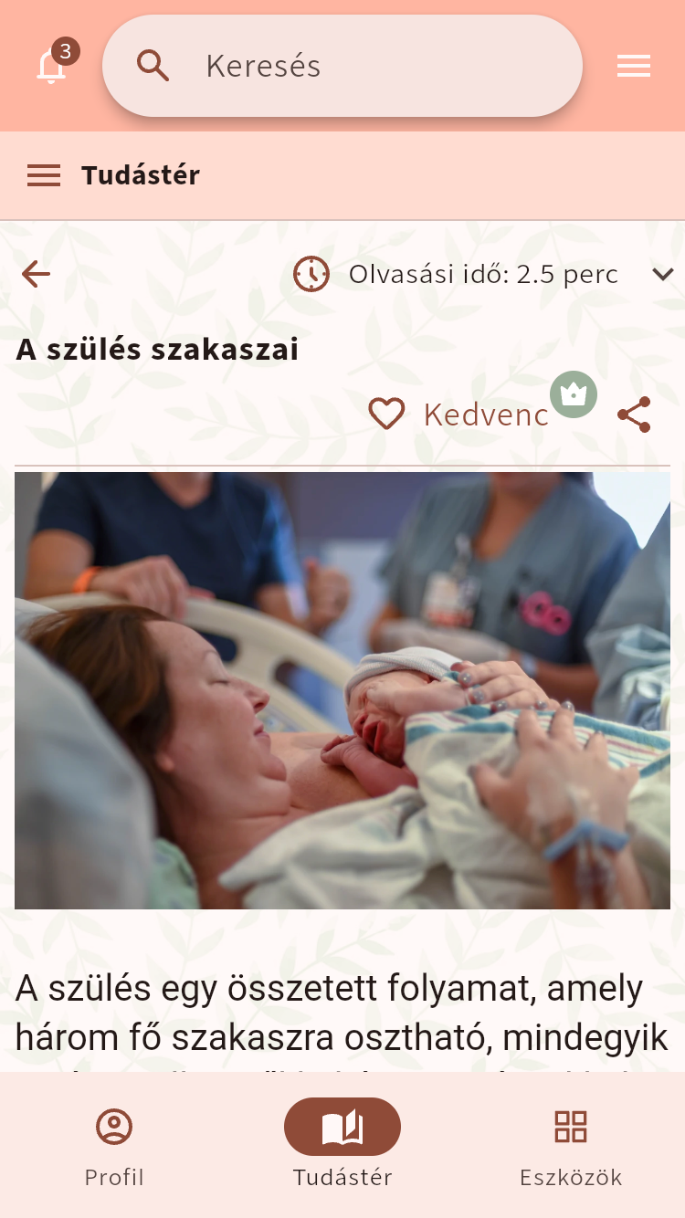 A Tudástér szülés szakaszairól szóló cikke olvasási idővel, megosztási lehetőséggel és a kedvencként való mentés lehetőségével⁠.