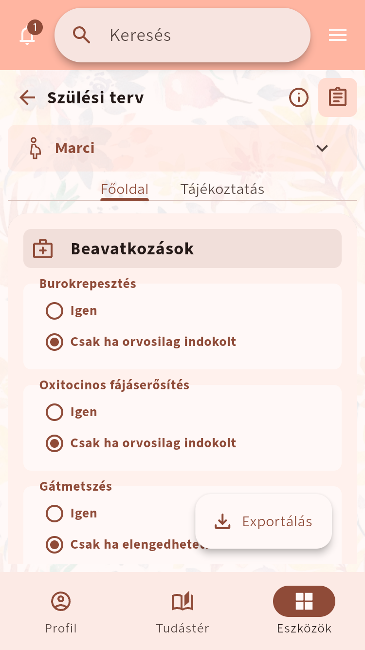 Szülési terv a vajúdás alatti beavatkozásokra vonatkozó preferenciákkal⁠.