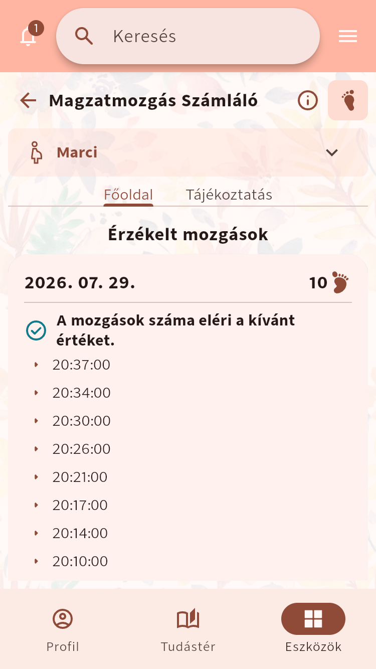 Magzatmozgás Számláló egy mérés során feljegyzett időpontokkal⁠.