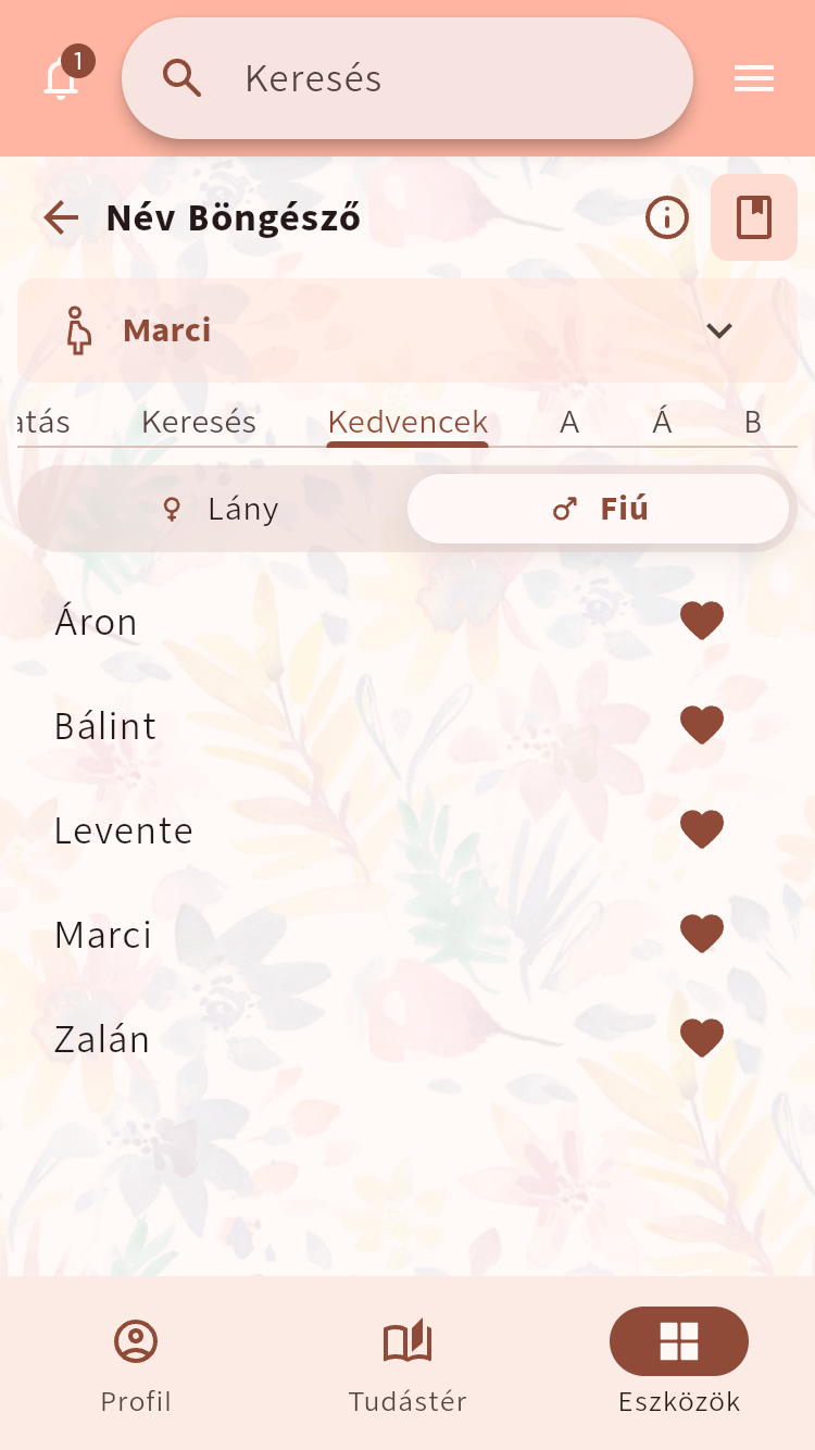 Név Böngésző kedvenc babanevek listájával⁠.
