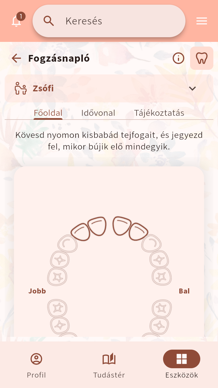 Fogzásnapló egy baba tejfogainak interaktív ábrájával⁠.